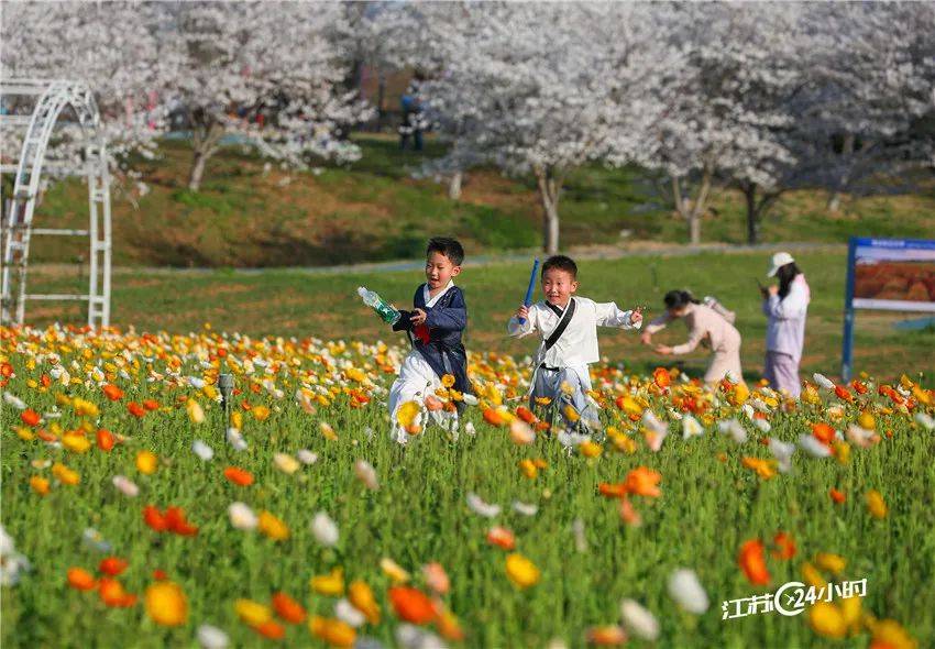 🌸【澳门一码中精准一码免费中特】🌸1平潭口岸迎今年首批对外承包大型设备运输船舶