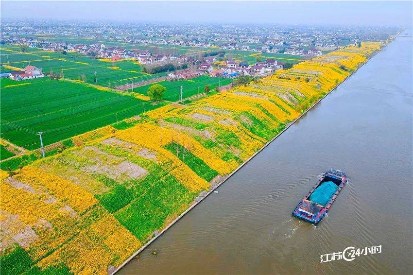 ✅王中王一肖中特4933333✅1船舶运输途中货物大量无故损耗，有“水贼”！  第1张