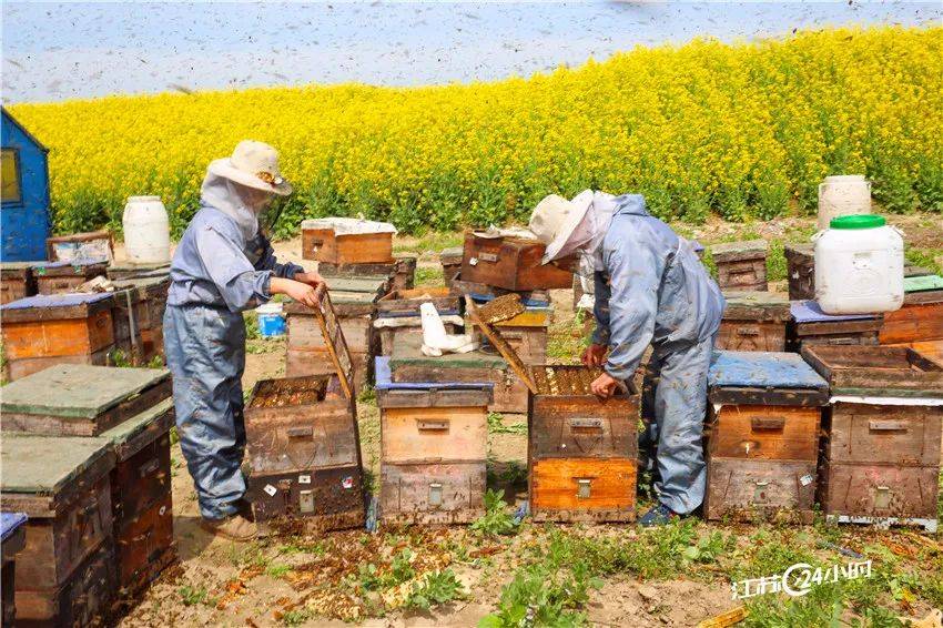 🌸【澳门今晚必中一肖一码准确9995】🌸1中国船舶集团上船院连续获得LPG/液氨运输船设计订单