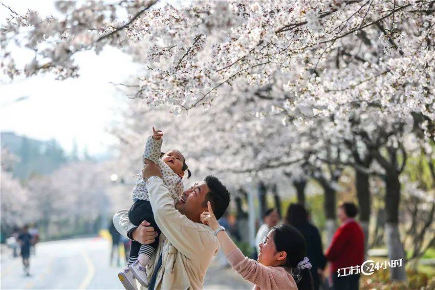 🌸【2024澳门精准正版资料】🌸1十三部门：大力支持新能源清洁能源动力运输船舶发展