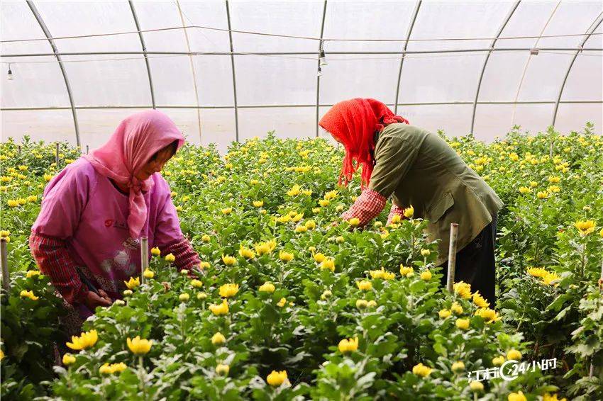 🌸【一肖一码免费，公开】🌸1南京港一季度外贸运输船舶 增长13.2%