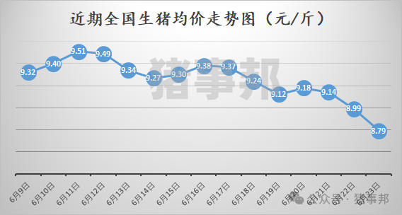 猪事邦|| 6月23日猪价汇总（周均价连续6周上涨后下跌！）  第2张