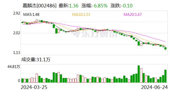 注意！嘉麟杰将于7月18日召开股东大会  第1张