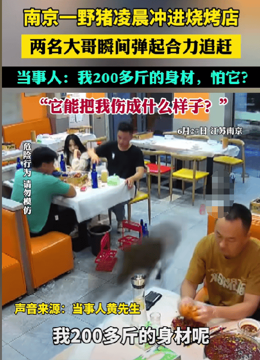 顾客饭店追野猪:我二百多斤怕它? 野猪：我就是想尝尝，顾客：请出去！