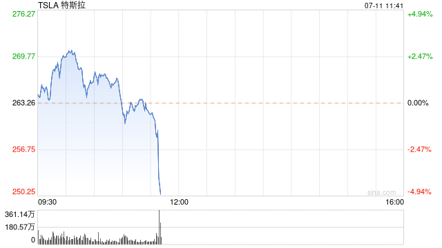 股价连涨11天 特斯拉估值面临现实检验  第1张