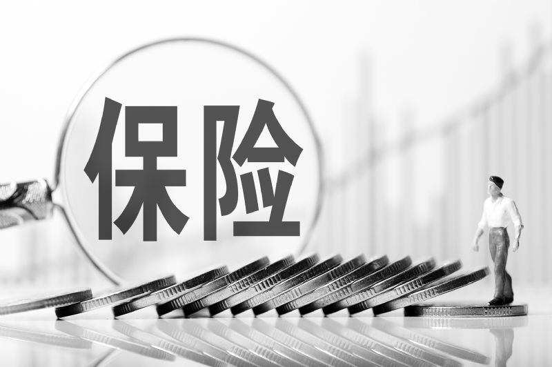 五大上市险企上半年保费收入1.76万亿 两大板块稳增财险收入提升4.5%  第1张