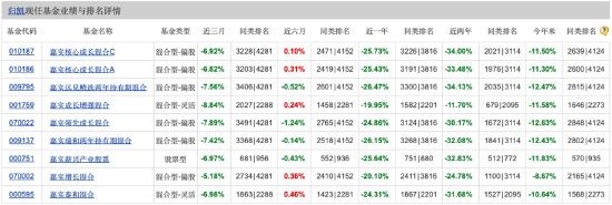 嘉实新兴产业股票近一年跌超25% 嘉实基金归凯“跌落神坛” 二季度新进重仓公牛集团  第1张