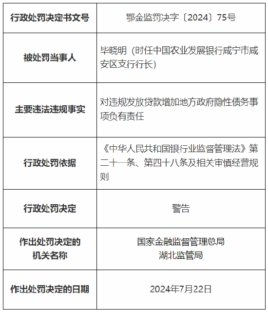 农发行咸宁市分行及荆门市分行总计被罚80万元：因违规发放贷款增加地方政府隐性债务  第2张