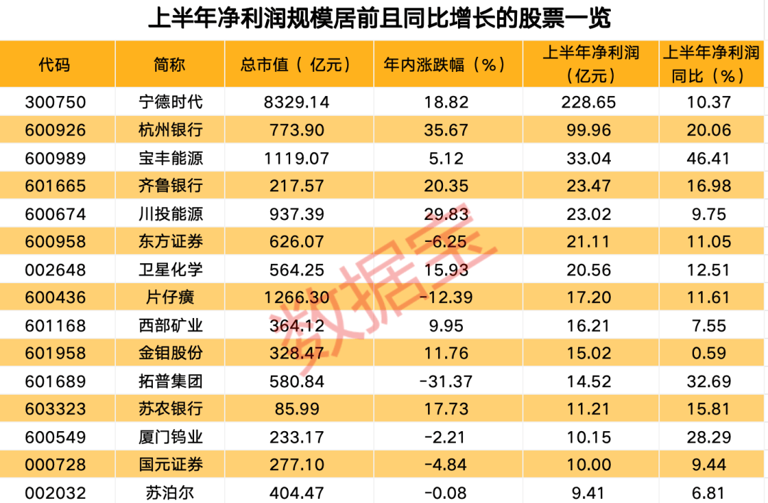 “宁王”半年报出炉，上半年净利润创新高！下周解禁股出炉，6股解禁比例超五成，4只业绩预亏股在列（附股）  第2张