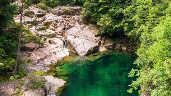 农夫山泉20年间在中国建成了12大水源地、30余座工厂