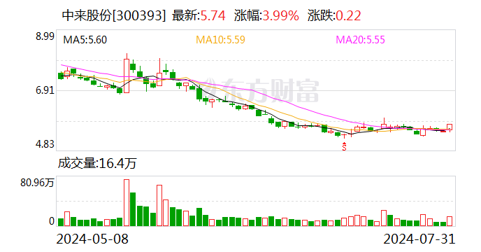 中来股份：与中国进出口银行浙江省分行续签4亿元担保合同  第1张