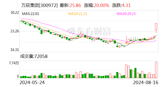 万辰集团：量贩零食门店突破6600家 Q2净利率环比微增|财报解读